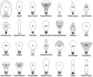 A19, A21 light bulb shape compared with other light bulbs