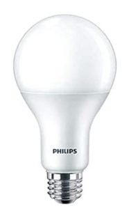 A21 Light Bulb